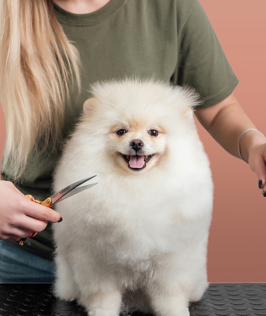 Dog Grooming DeForest WI