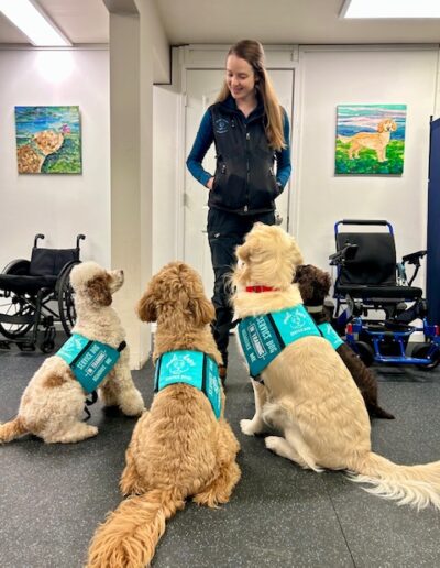 Medi-Dogs Service Dogs